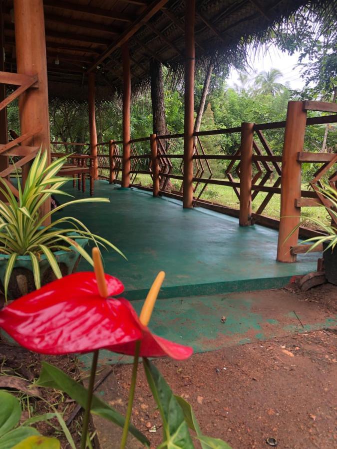 Sigiri Lion Eco Palace Сигирия Екстериор снимка