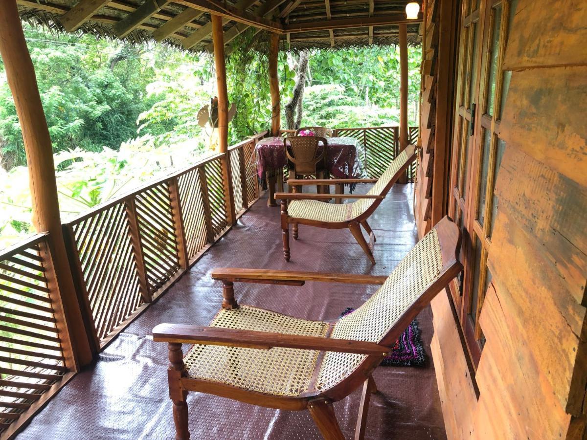 Sigiri Lion Eco Palace Сигирия Екстериор снимка