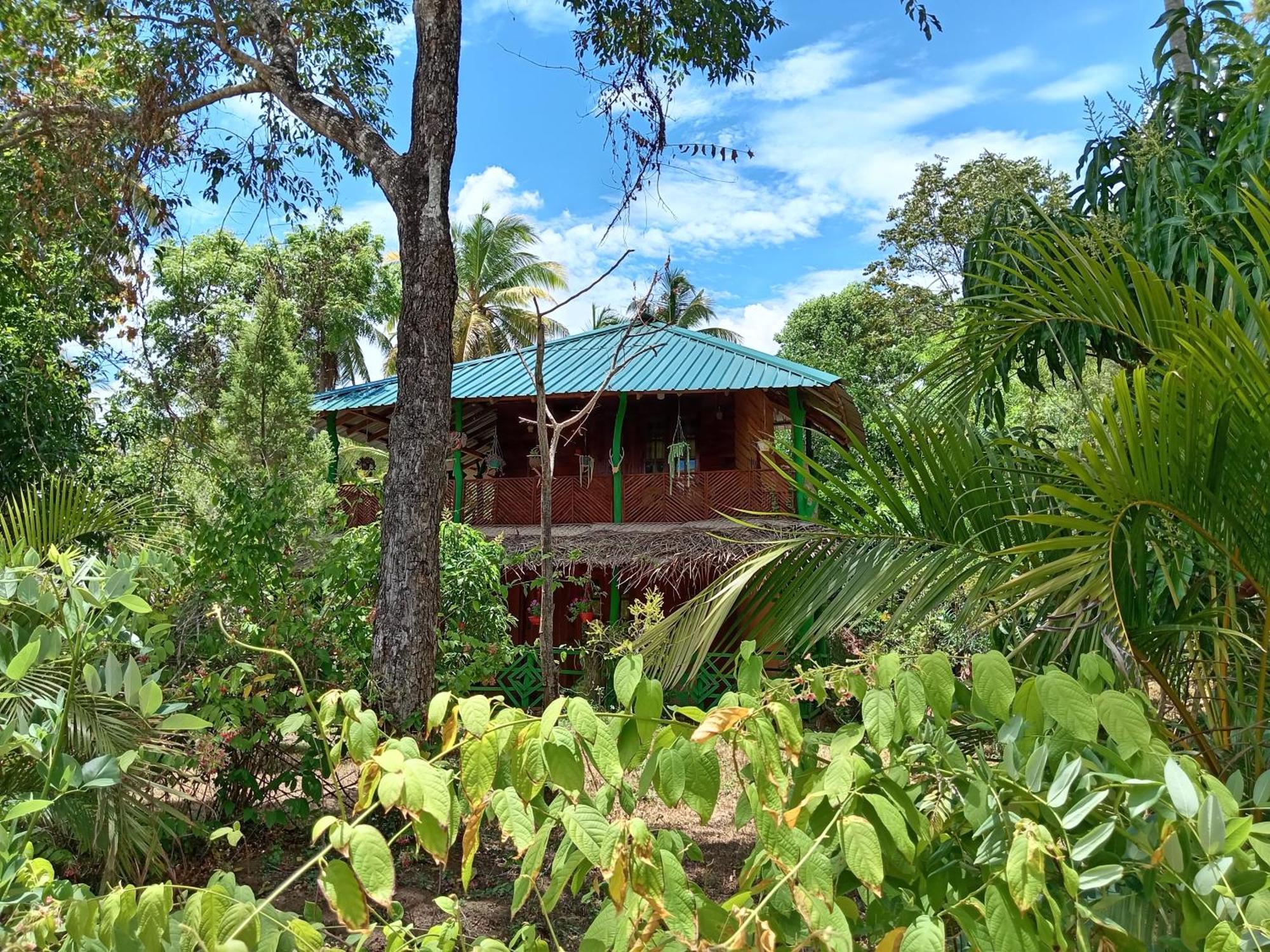 Sigiri Lion Eco Palace Сигирия Екстериор снимка