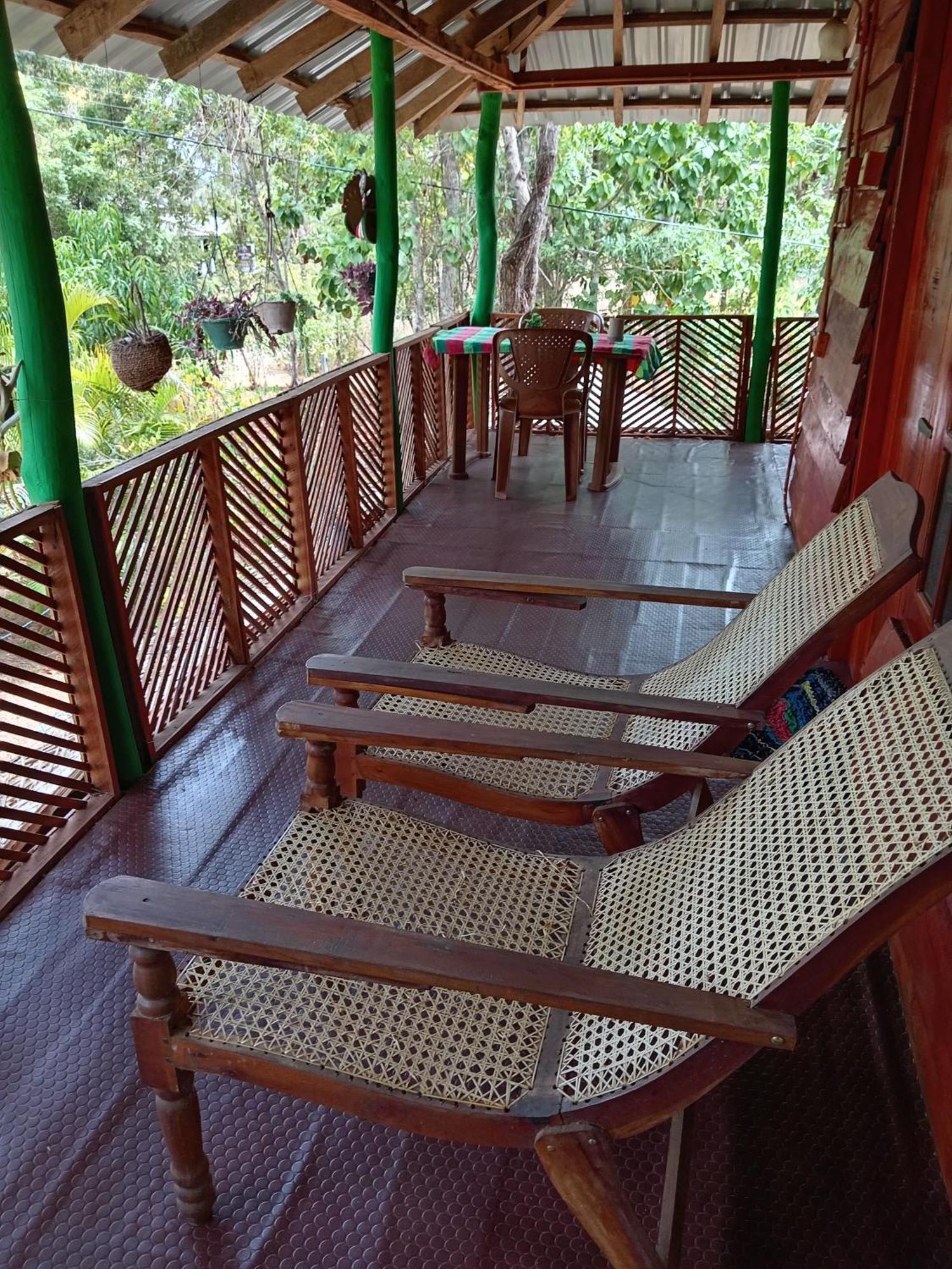 Sigiri Lion Eco Palace Сигирия Екстериор снимка